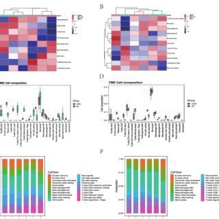 Evaluation And Visualization Of Immune Cell Infiltration A Heatmaps Of