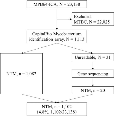 Scielo Brasil Identification And Characterization Of Nontuberculous