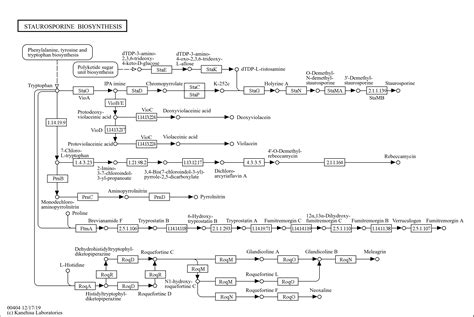 Kegg Pathway Staurosporine Biosynthesis Reference Pathway