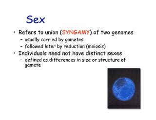 Evolution Of Sex Pdf