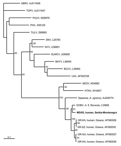 Figure Hantaviruses In Serbia And Montenegro Volume Number