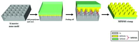 Schematic Illustrations Of The Replica Molding Process For Fabricating