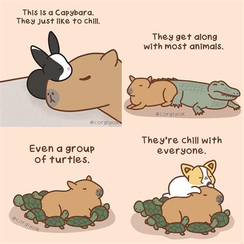 Capybara comic [OC] : r/wholesomememes