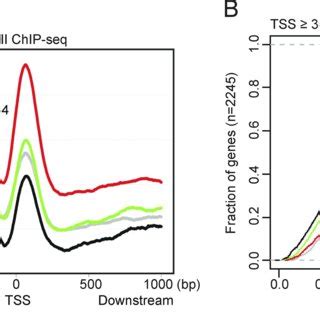 Uvssa Knockdown Alters Myc Driven Rnapii Dynamics At Tsss And Gene