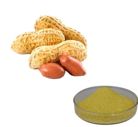 Peanut Shell Extract Luteolin 98 Powder Free Sample China Peanut