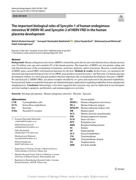 The important biological roles of Syncytin-1 of human endogenous ...