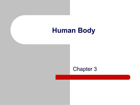 Ppt Human Body Powerpoint Presentation Free Download Id 1140163