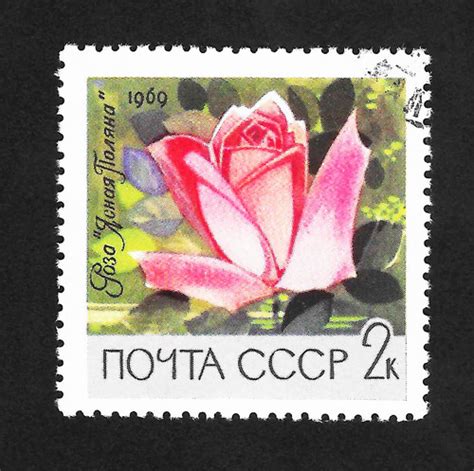 1969 2k Noyta Cccp Russian Flower Stamp Aaalvinssportscards