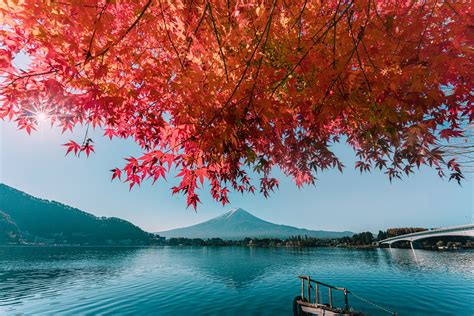 Japan -Autumn colors on Behance