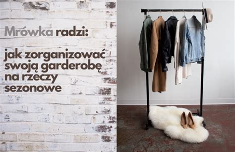 Mrówka radzi jak zorganizować swoją garderobę na rzeczy sezonowe