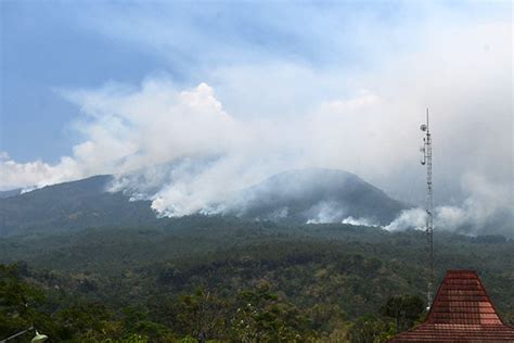 Kebakaran Hutan Gunung Lawu Area Terbakar Meluas Hingga 150 Hektare