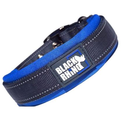 Best Dog Collars for Big Dogs