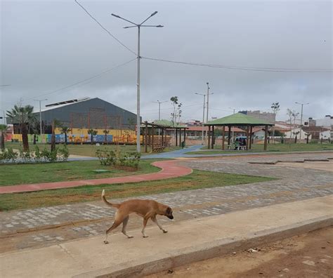 Serra Talhadenses Alertam Para C Es No Parque Dos Ip S Farol De