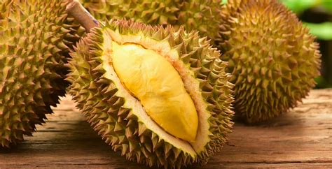 Product Spotlight: Durian | Alphas Produce, Inc.