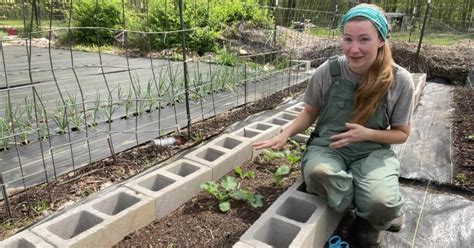 Cinder Block Raised Beds: Myths, How Tos & Tips - Food Prep Guide