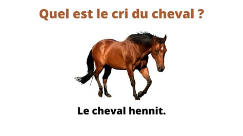 Le Cri Du Cheval YouTube