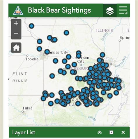 Missouri Black Bear North American Wildlife And Habitat