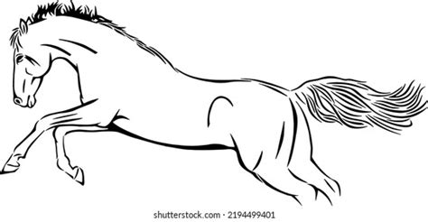 Horse Outline Vector Illustrations Design Stock Vector (Royalty Free ...