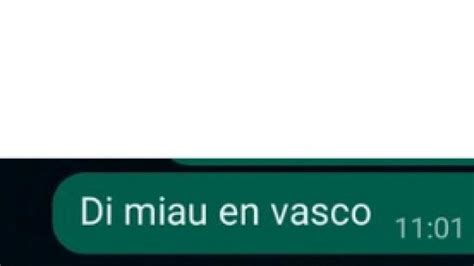 Le Pide Por Whatsapp Que Diga “miau En Vasco” Y La Respuesta Provoca