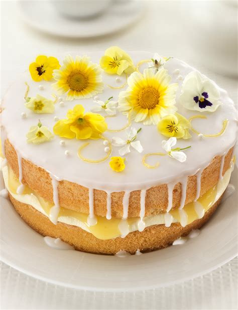 Lemon And Elderflower Drizzle Cake Sainsbury`s Magazine