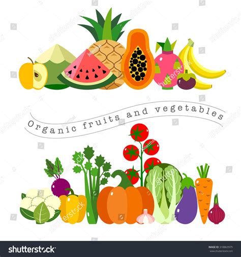 Fruits And Vegetables Illustrations