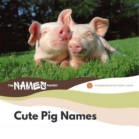 225+ Pig Names To Get Inspired for Your Porcine Pal!