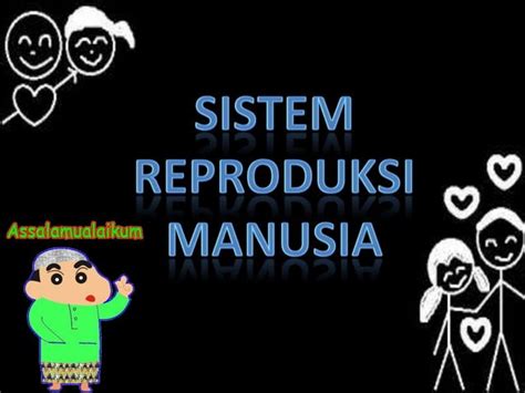 Sistem Reproduksi Manusia Ppt