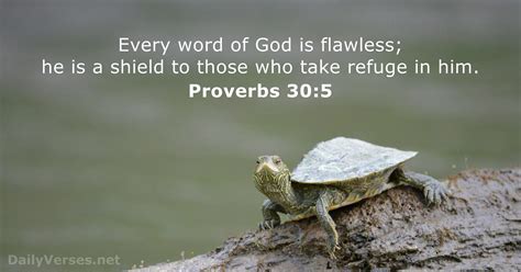 Proverbs 30:5 - Bible verse - DailyVerses.net