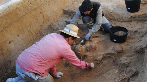 La primera exhumación en el Valle de los Caídos se atasca tras pedir