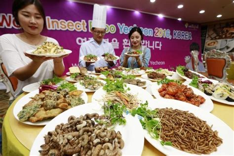 국내 식용곤충 산업 규모 231억원전체 곤충산업의 절반 이상 인천시니어뉴스