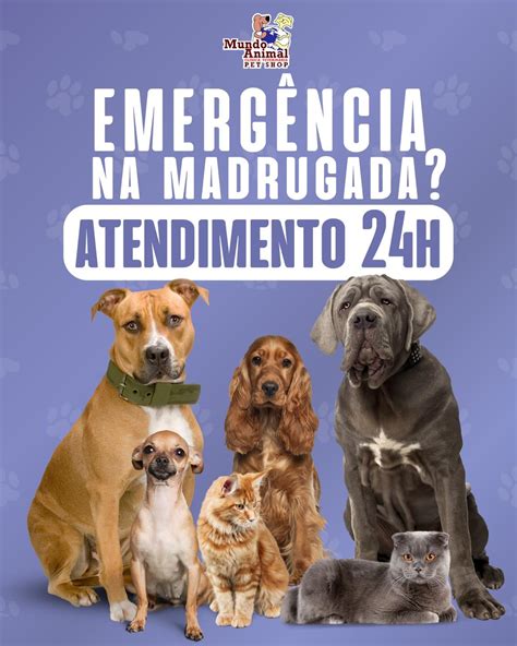 Comercial Mundo Animal Veterinário 24 Horas E Pet Shop