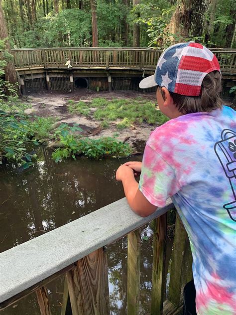 Field Trips at Okefenokee Swamp Park - Okefenokee Swamp Park & Adventures