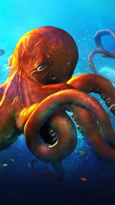 Hd Octopus Wallpaper 70 Images