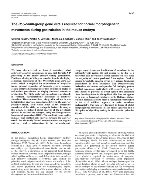 Pdf The Polycomb Group Gene Eed Is Required For Normal Morphogenetic