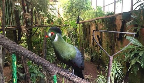 PROFEPA levanta clausura al santuario de aves El Nido POSTA Nuevo León