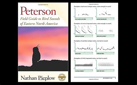 Peterson Field Guide To Bird Sounds Of Eastern North America A Book