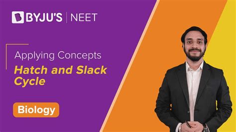 Hatch And Slack Cycle Definition Diagram Steps C Plants