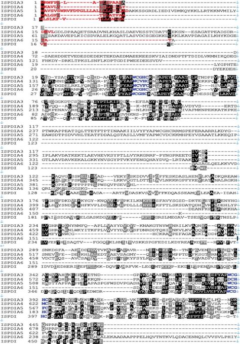 Protein Sequence Comparison Of Ispdia Multiple Sequence Alignment Of