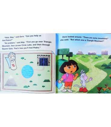 Dora's Shape Adventure (Dora the Explorer) | Susan Hood | 9780717266326