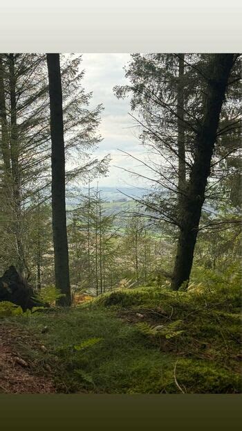 Laura Hermansen Laura Hermansen Nude OnlyFans The Fappening Plus