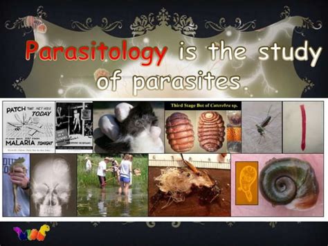 Introduction To Parasitology Ppt