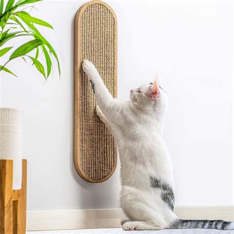 Best Problem-Solving Products For Cat Ownder | POPSUGAR Pets