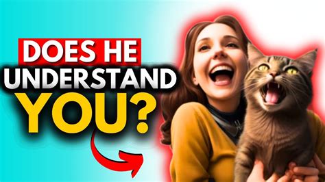 7 Reasons Why You Should Talk To Your Cat Do You Understand This