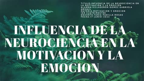 Influencia En La Neurociencia En La Motivacion Y Emocion