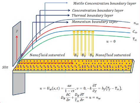 Schematic Sketch Of The Physical Model The Governing Equations Of The Download Scientific