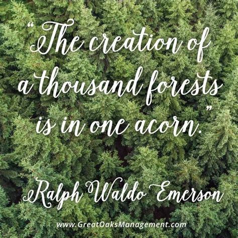 The Creation Of A Thousand Forests Is In One Acorn Ralph Waldo Emerson