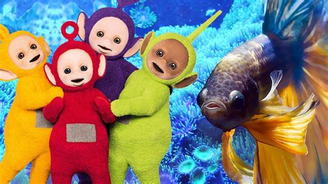 Teletubbies Animal Fish