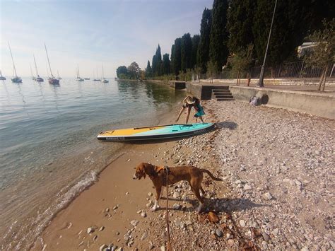 Tour Mit Hund Am Gardasee Von Garda Nach San Vigilio Auf Dem Sup