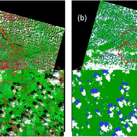 Color Composited Surface Reflectance Maps Swir Red Channel Nir