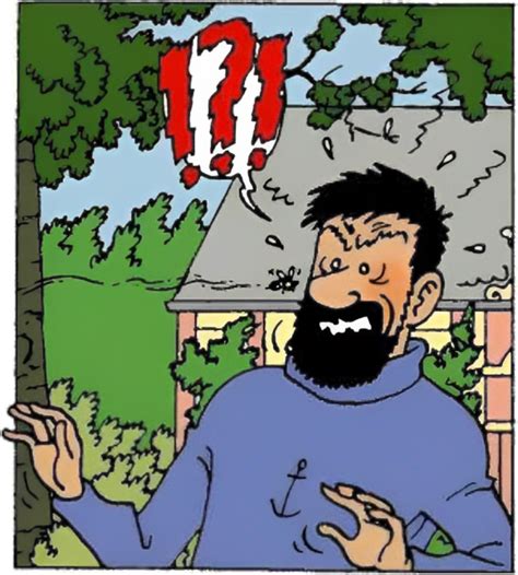 List of Captain Haddock's Curses - Tintin Wiki